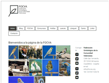 Tablet Screenshot of focva.org